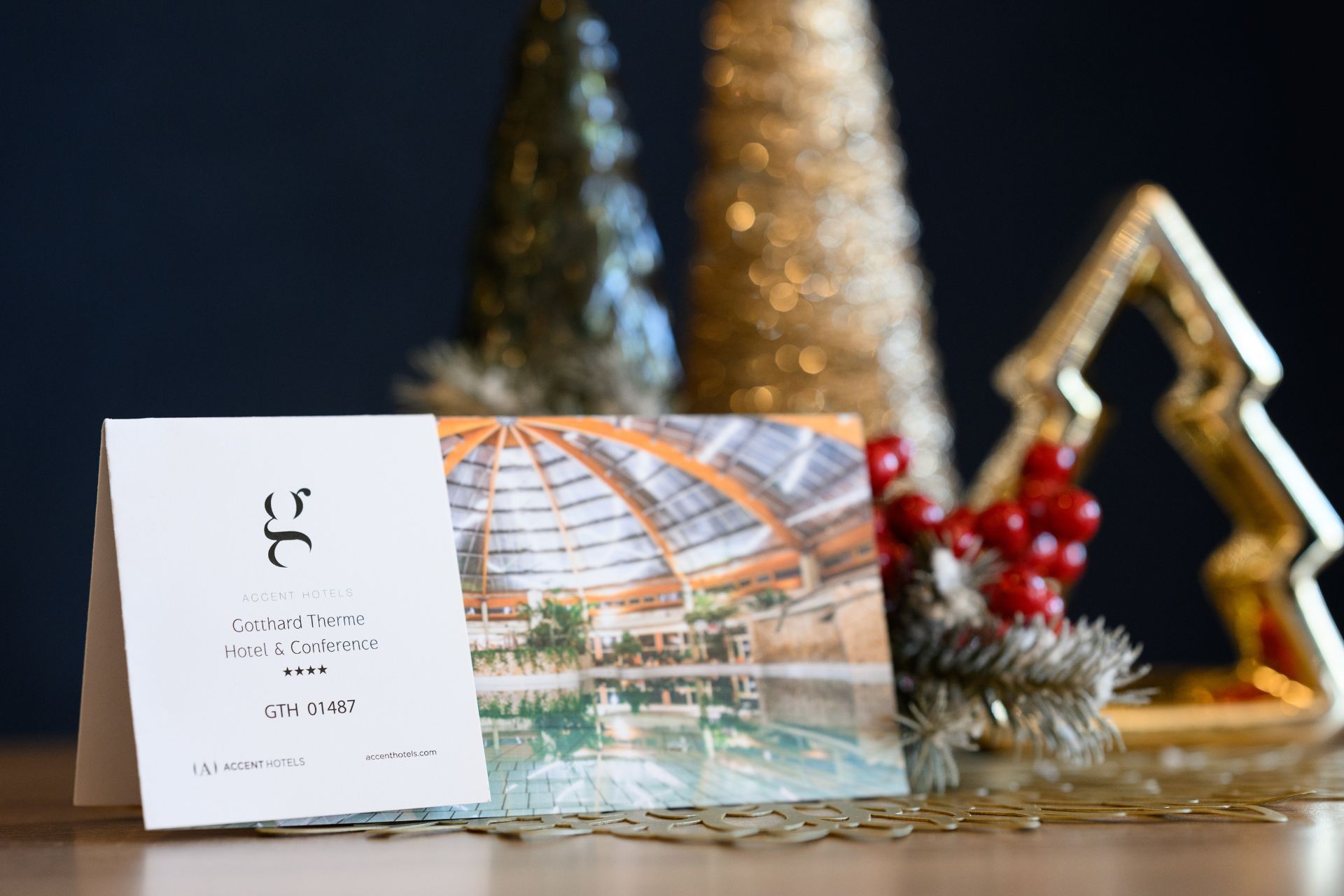 Gotthard karácsonyi ajándékutalvány