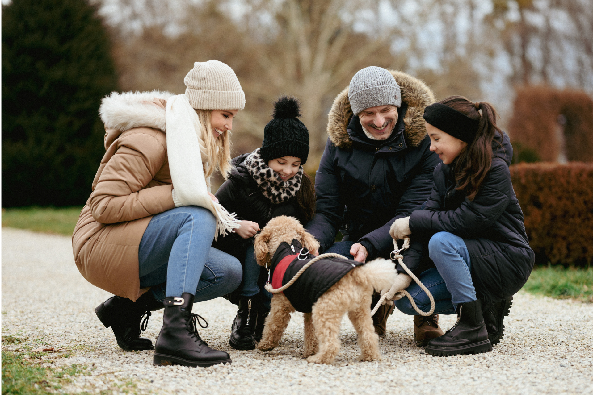 Pihenj házikedvenceddel együtt!