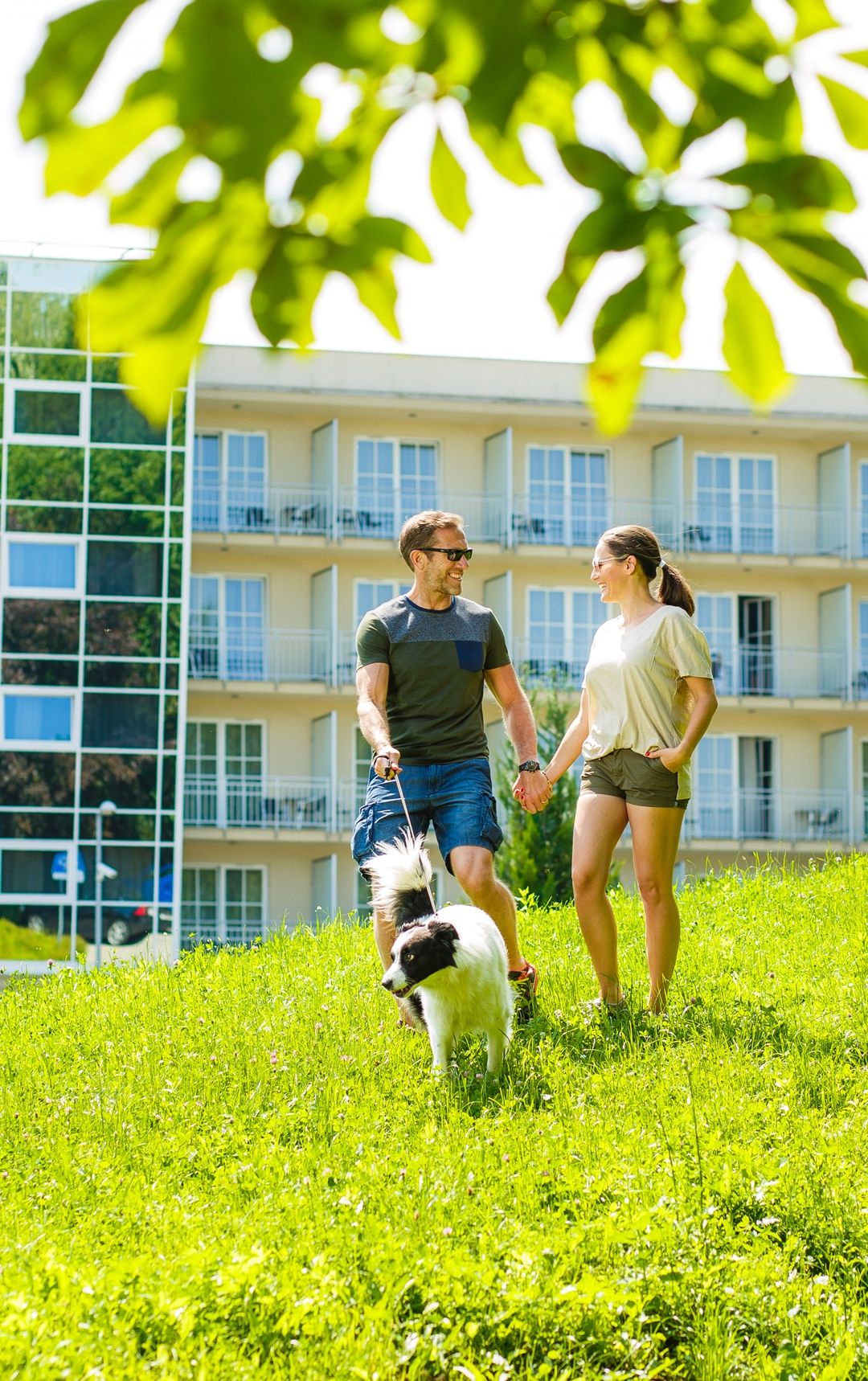 Sdílej svou dovolenou se svým psem!